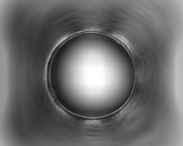 X0000096641135200802051123