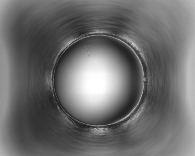 X0000096641137200802051123