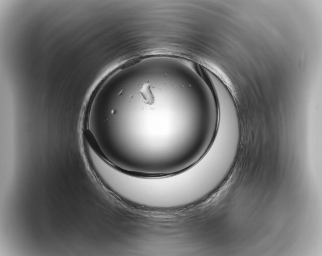 X0000096641138200802051123