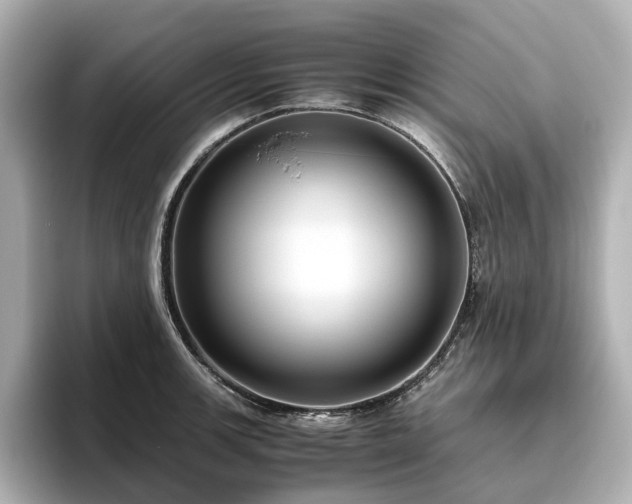 X0000096641139200802051123
