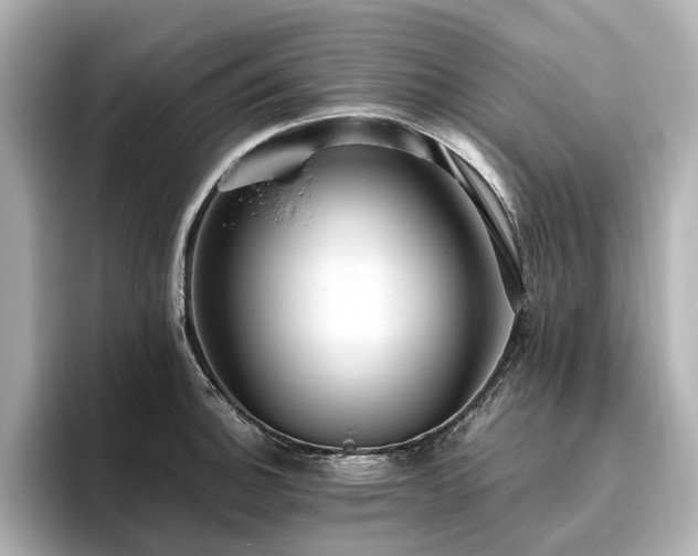 X0000096641140200802051123