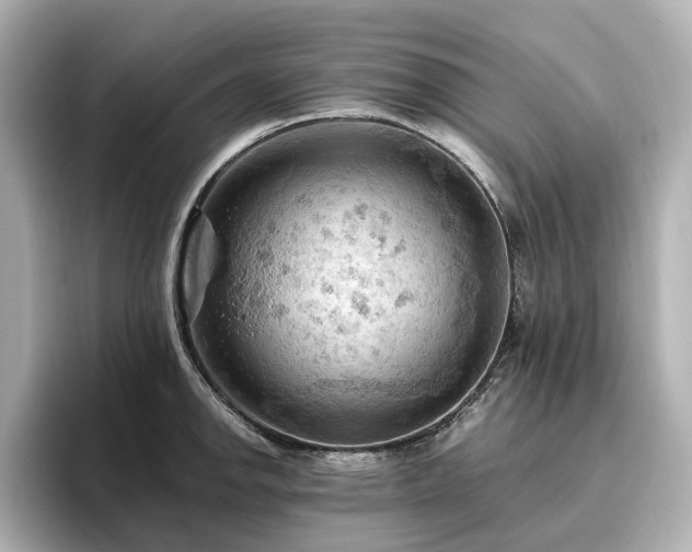 X0000096641142200802051123
