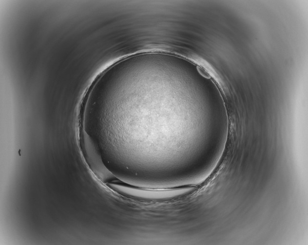 X0000096641143200802051123