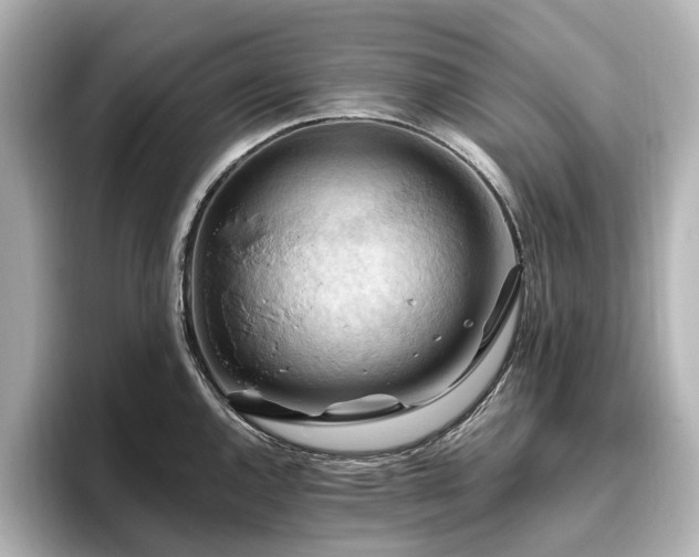 X0000096641144200802051123