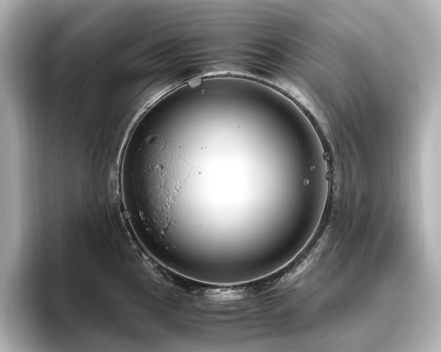 X0000096641145200802051123