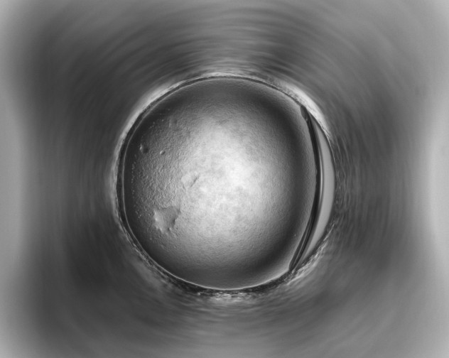 X0000096641146200802051123