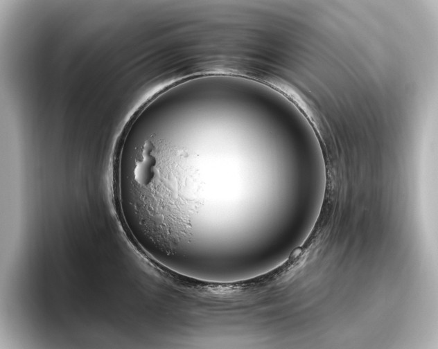 X0000096641147200802051123
