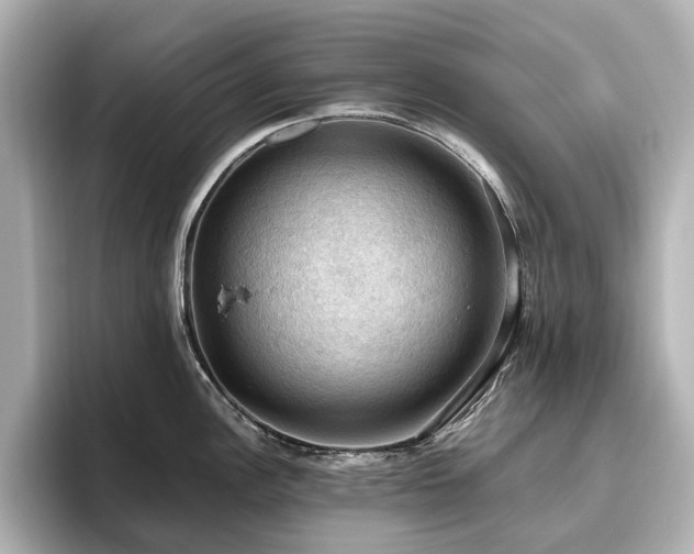 X0000096641148200802051123
