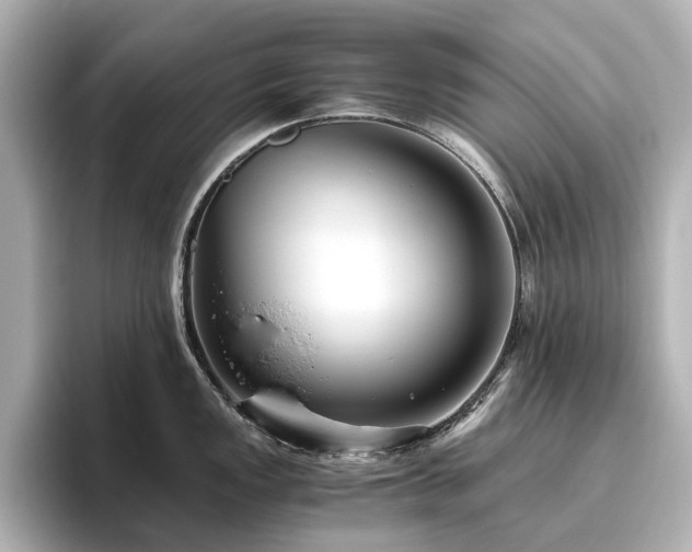 X0000096641149200802051123