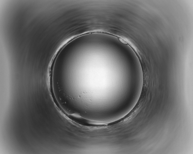 X0000096641151200802051123