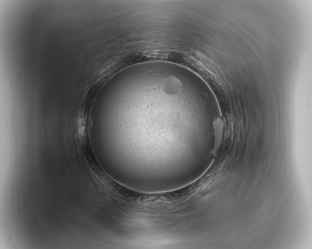 X0000096641154200802051122
