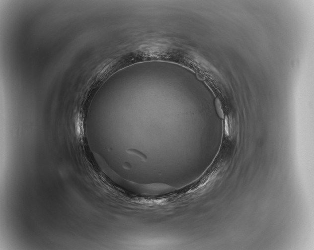 X0000096641155200802051122