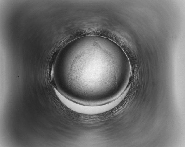 X0000096641156200802051122