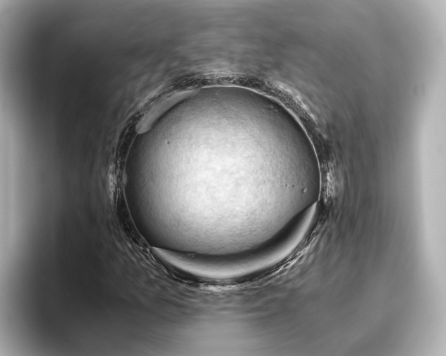 X0000096641157200802051122