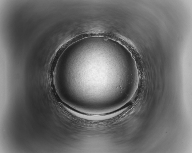 X0000096641160200802051122