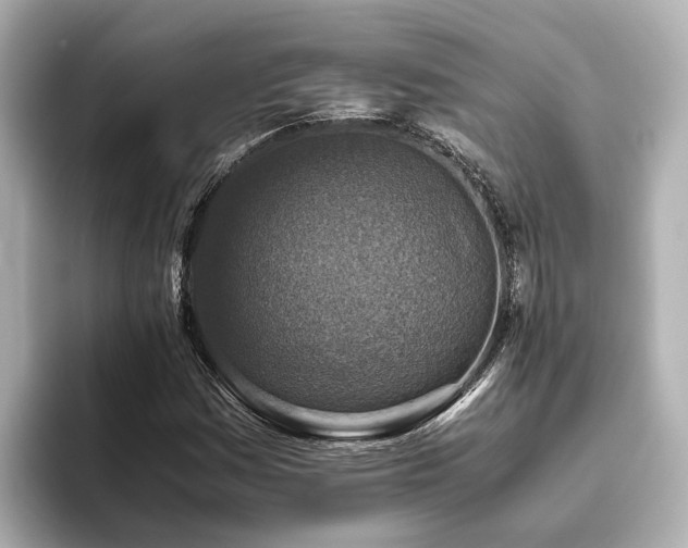 X0000096641161200802051122