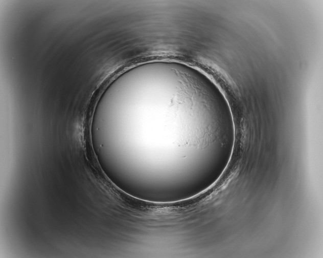 X0000096641162200802051122
