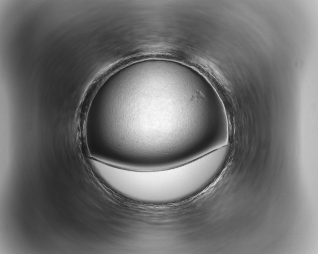 X0000096641164200802051122