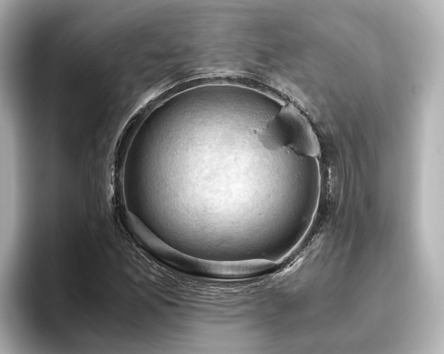 X0000096641165200802051122