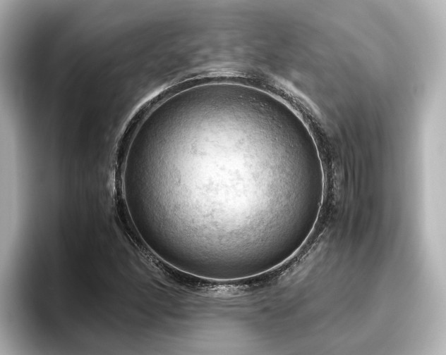 X0000096641166200802051122