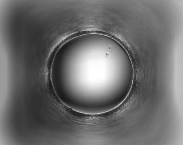 X0000096641167200802051122