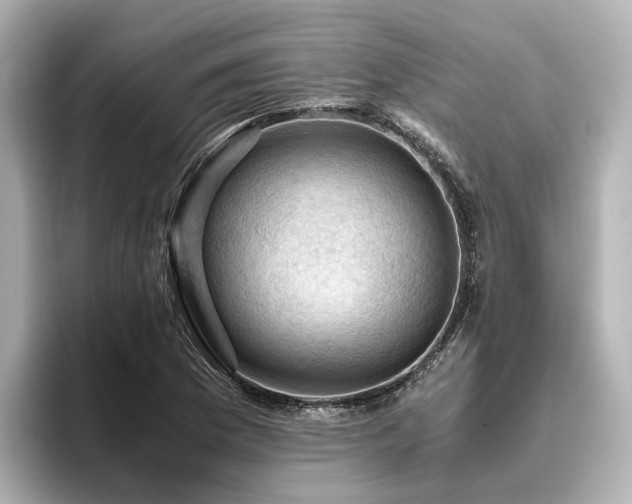 X0000096641169200802051122