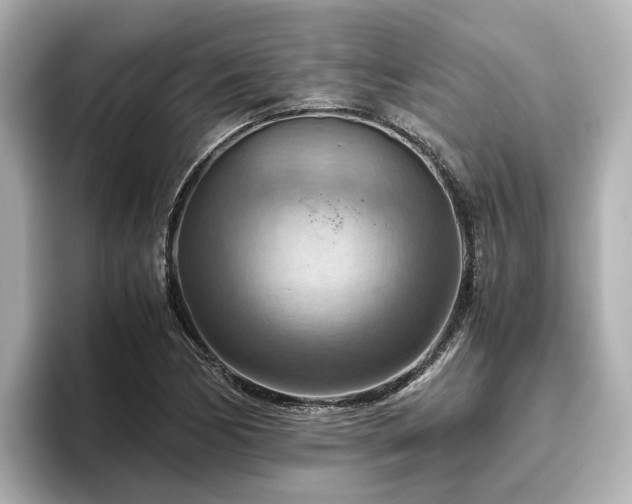 X0000096641170200802051122