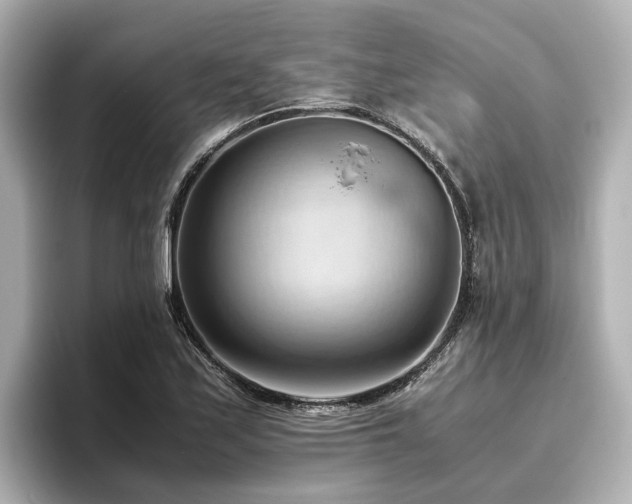 X0000096641171200802051122