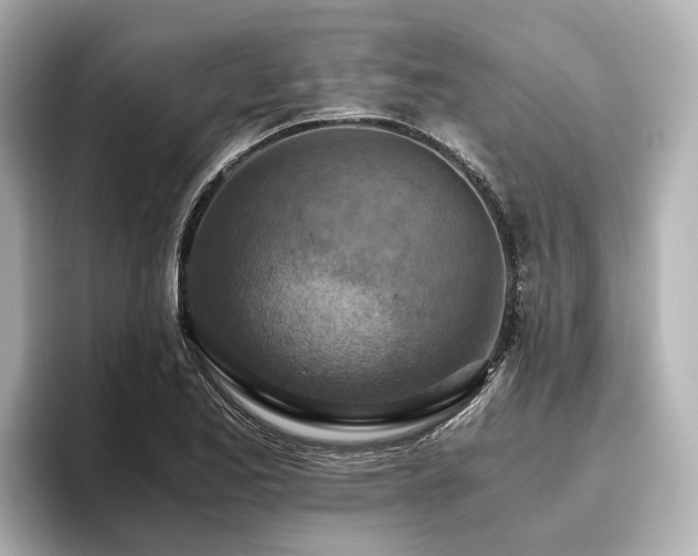 X0000096641173200802051122