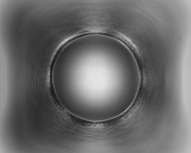 X0000096641174200802051122