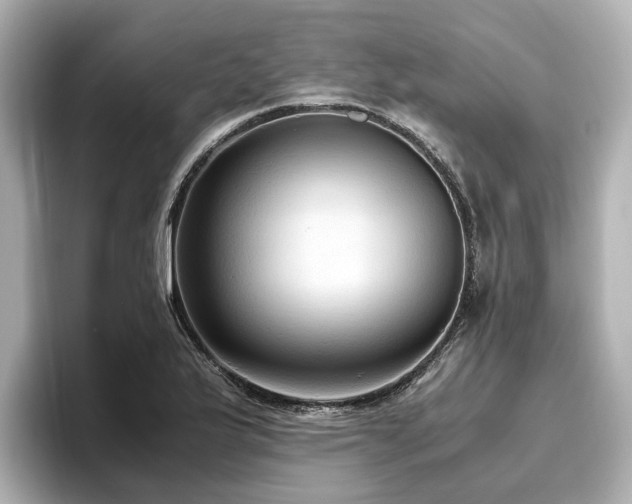 X0000096641175200802051122