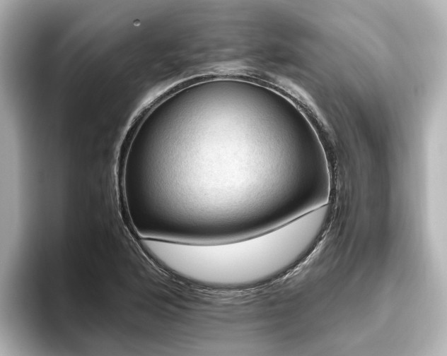 X0000096641176200802051122