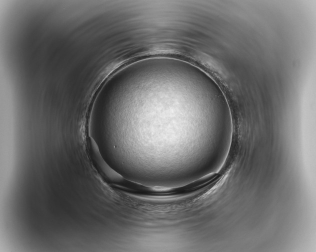 X0000096641177200802051122