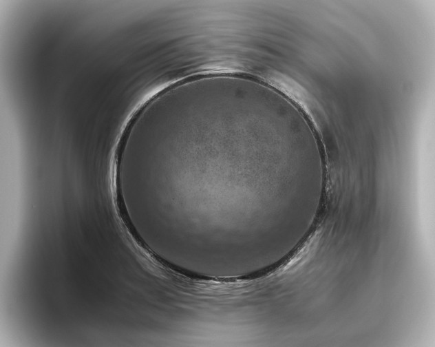 X0000096641179200802051122