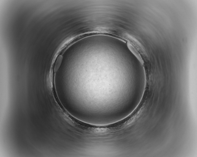 X0000096641180200802051122