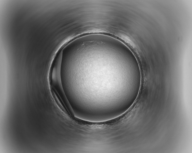 X0000096641181200802051122