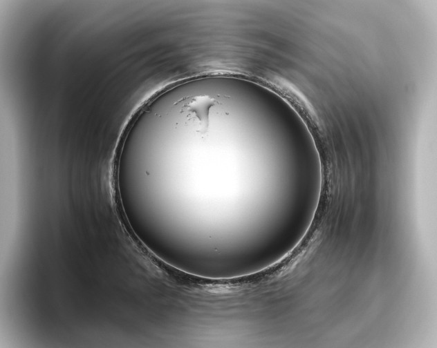 X0000096641182200802051122