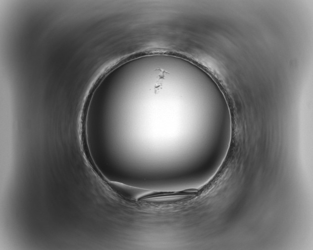 X0000096641183200802051122