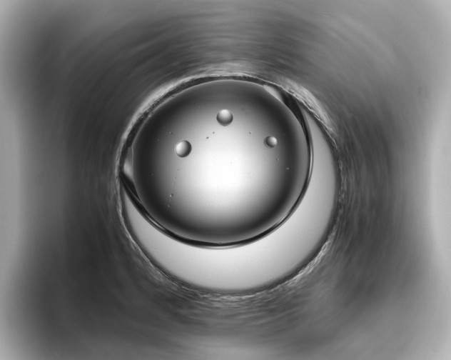 X0000096641184200802051122
