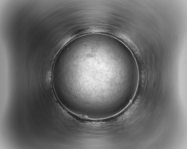 X0000096641185200802051122