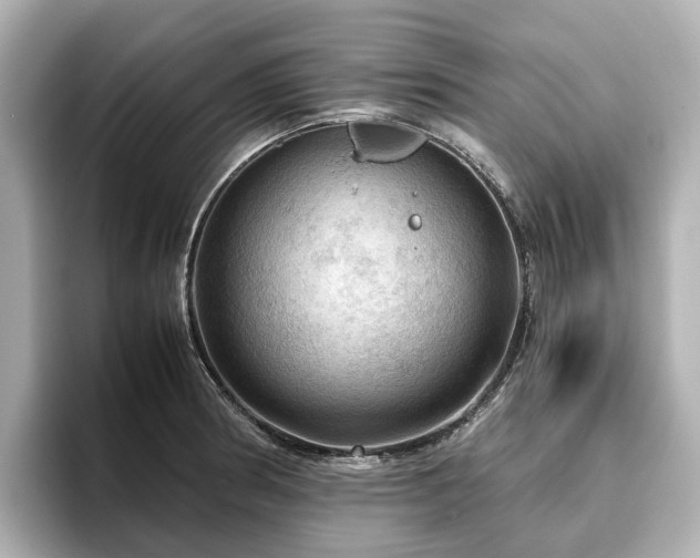 X0000096641186200802051122