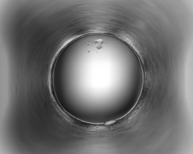 X0000096641187200802051122