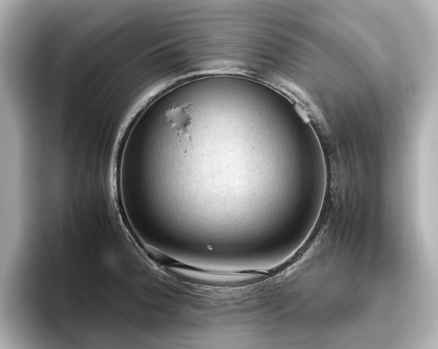 X0000096641188200802051122