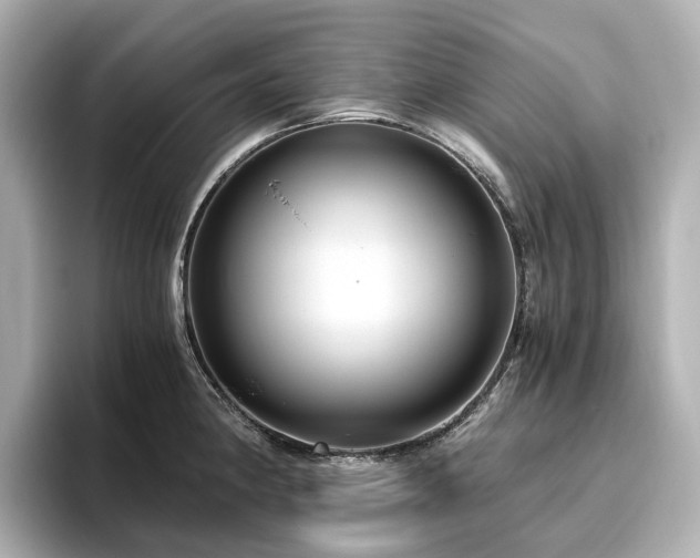 X0000096641190200802051122