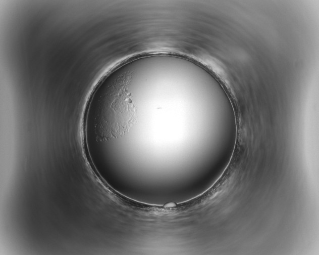 X0000096641191200802051122