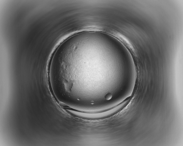 X0000096641192200802051122
