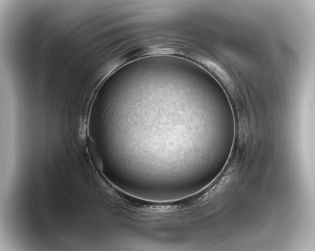 X0000096641193200802051122