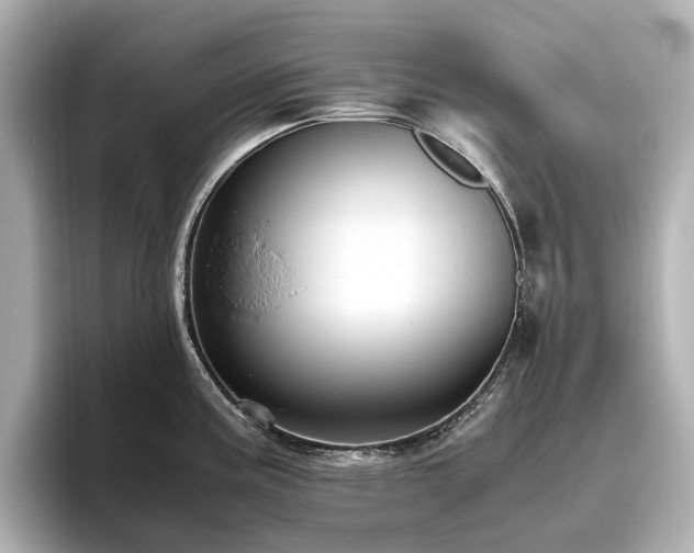 X0000096641195200802051122