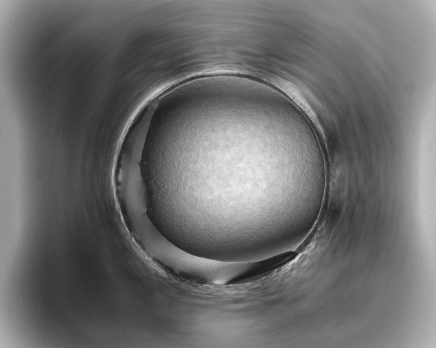 X0000096641197200802051122