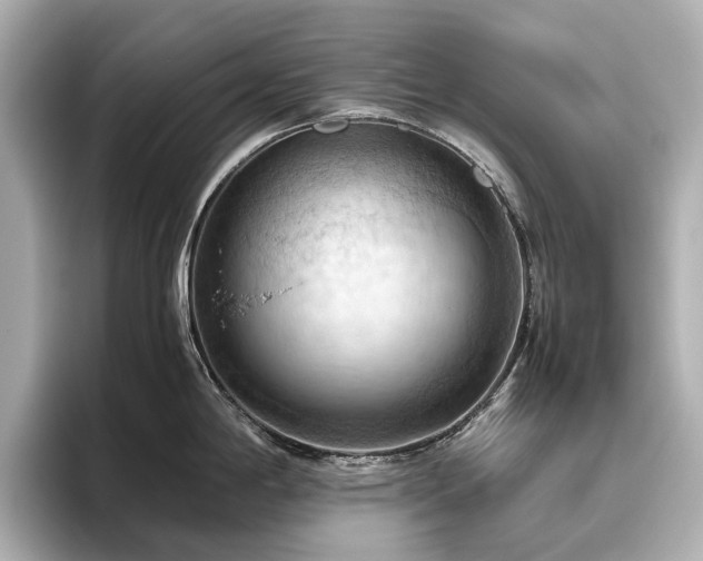 X0000096641198200802051122